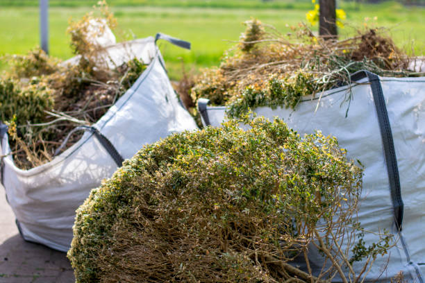 Best Commercial Junk Removal  in Baudette, MN