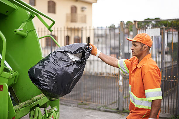 Best Furniture Removal Near Me  in Baudette, MN